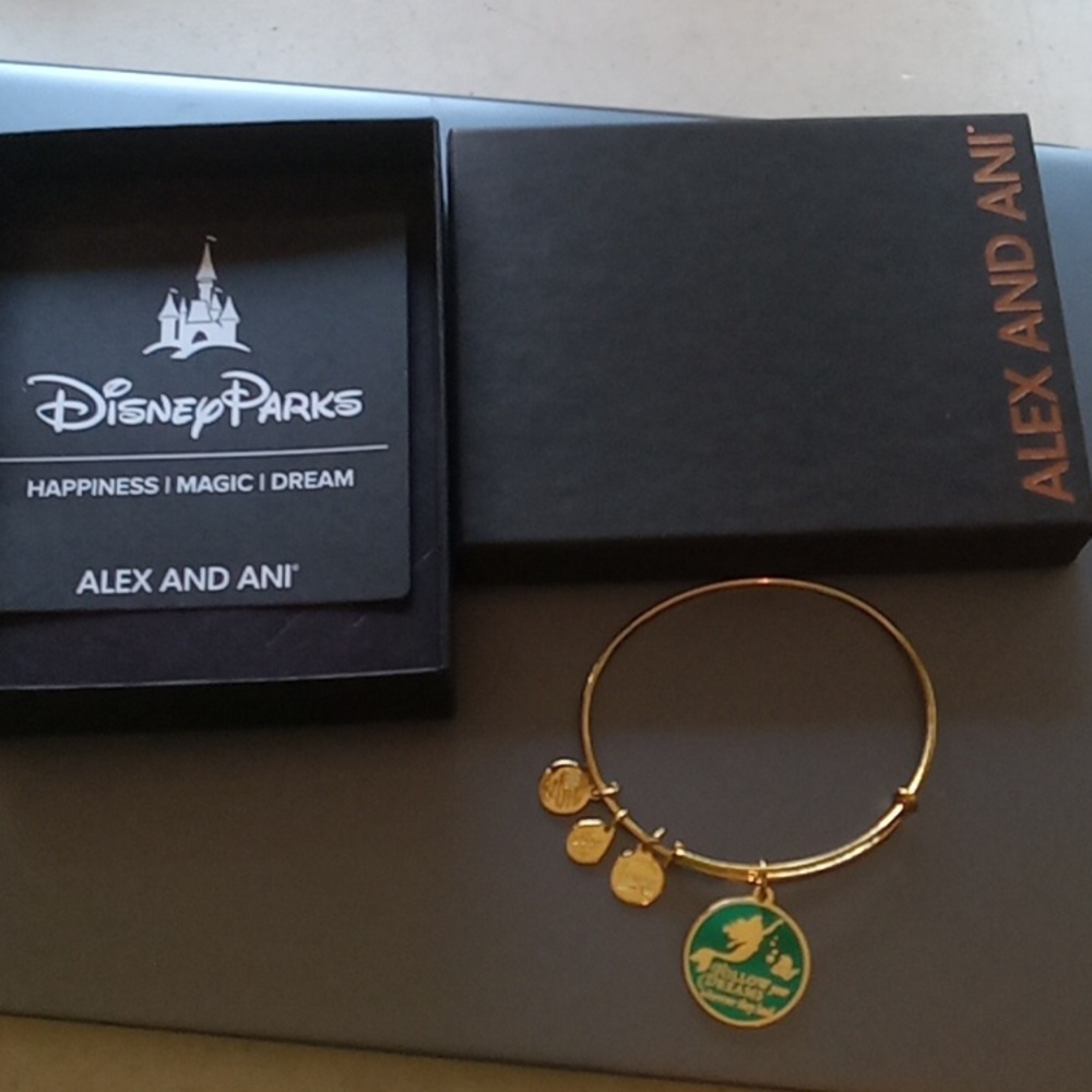 Alex and Ani Disney Bracelet